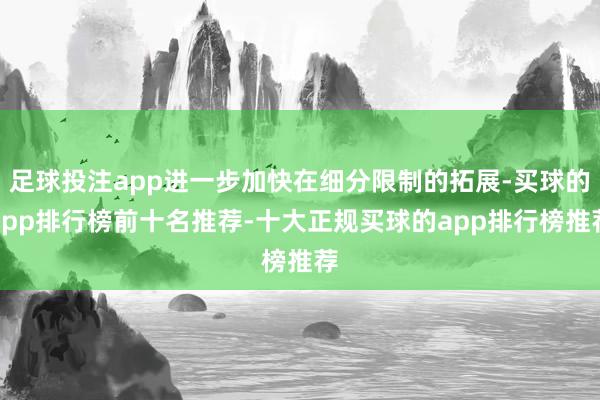 足球投注app进一步加快在细分限制的拓展-买球的app排行榜前十名推荐-十大正规买球的app排行榜推荐