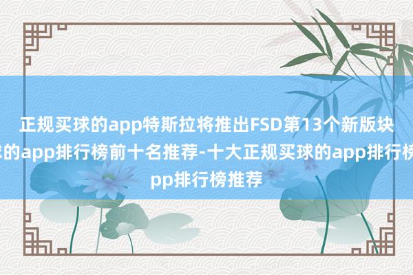 正规买球的app特斯拉将推出FSD第13个新版块-买球的app排行榜前十名推荐-十大正规买球的app排行榜推荐