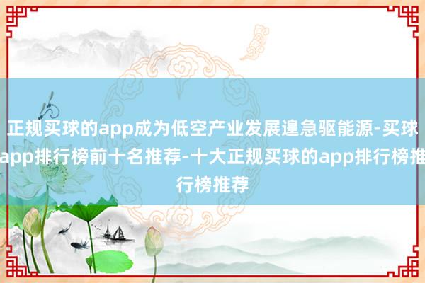 正规买球的app成为低空产业发展遑急驱能源-买球的app排行榜前十名推荐-十大正规买球的app排行榜推荐