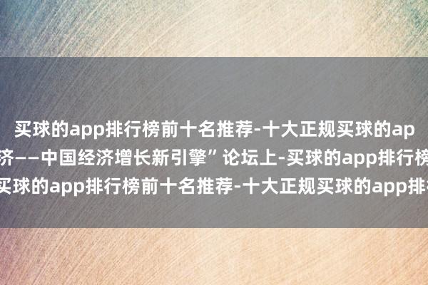 买球的app排行榜前十名推荐-十大正规买球的app排行榜推荐在“低空经济——中国经济增长新引擎”论坛上-买球的app排行榜前十名推荐-十大正规买球的app排行榜推荐