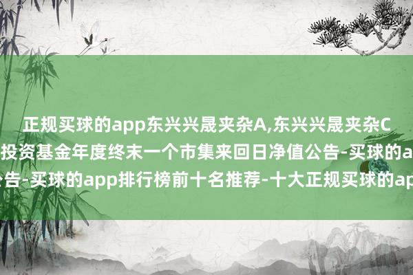 正规买球的app东兴兴晟夹杂A,东兴兴晟夹杂C: 东兴兴晟夹杂型证券投资基金年度终末一个市集来回日净值公告-买球的app排行榜前十名推荐-十大正规买球的app排行榜推荐