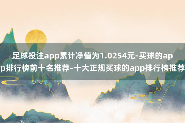 足球投注app累计净值为1.0254元-买球的app排行榜前十名推荐-十大正规买球的app排行榜推荐