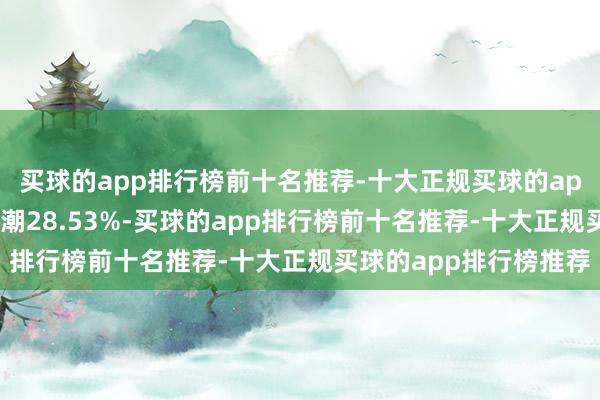 买球的app排行榜前十名推荐-十大正规买球的app排行榜推荐近1年高潮28.53%-买球的app排行榜前十名推荐-十大正规买球的app排行榜推荐