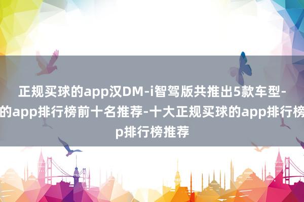 正规买球的app汉DM-i智驾版共推出5款车型-买球的app排行榜前十名推荐-十大正规买球的app排行榜推荐