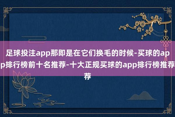 足球投注app那即是在它们换毛的时候-买球的app排行榜前十名推荐-十大正规买球的app排行榜推荐