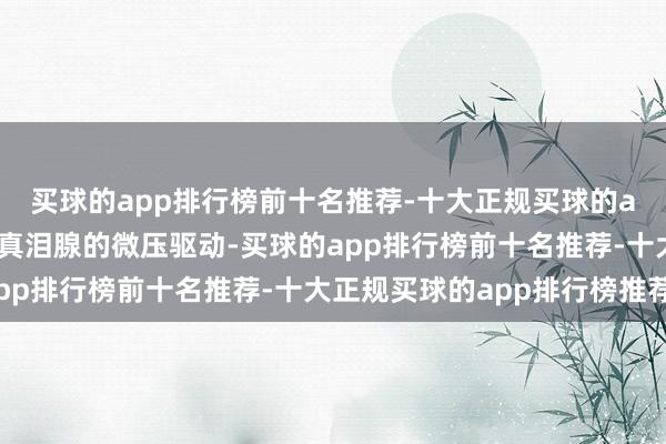 买球的app排行榜前十名推荐-十大正规买球的app排行榜推荐模拟果真泪腺的微压驱动-买球的app排行榜前十名推荐-十大正规买球的app排行榜推荐