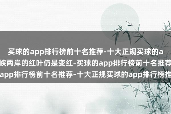 买球的app排行榜前十名推荐-十大正规买球的app排行榜推荐长江巫峡两岸的红叶仍是变红-买球的app排行榜前十名推荐-十大正规买球的app排行榜推荐